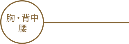 胸・背中・腰